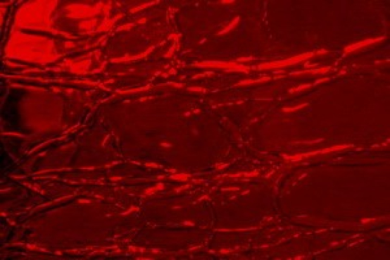 rotes Craqueleé-Glas,